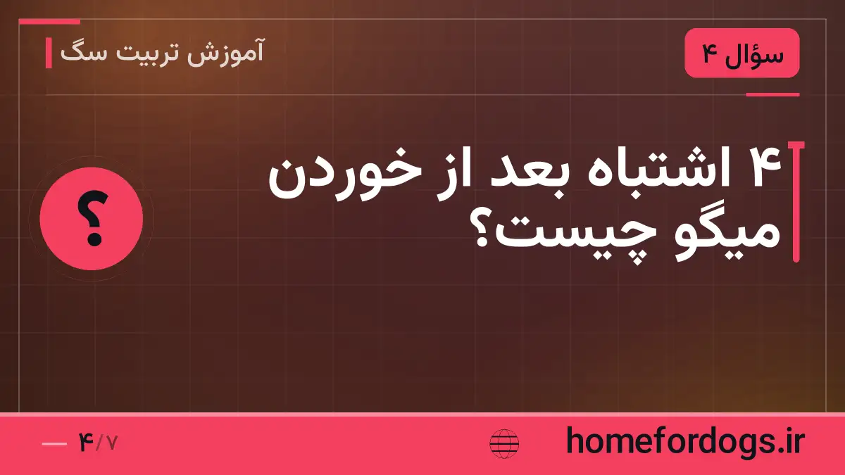 ۴ اشتباه بعد از خوردن میگو چیست؟