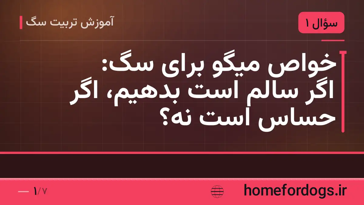 خواص میگو برای سگ: اگر سالم است بدهیم، اگر حساس است نه؟