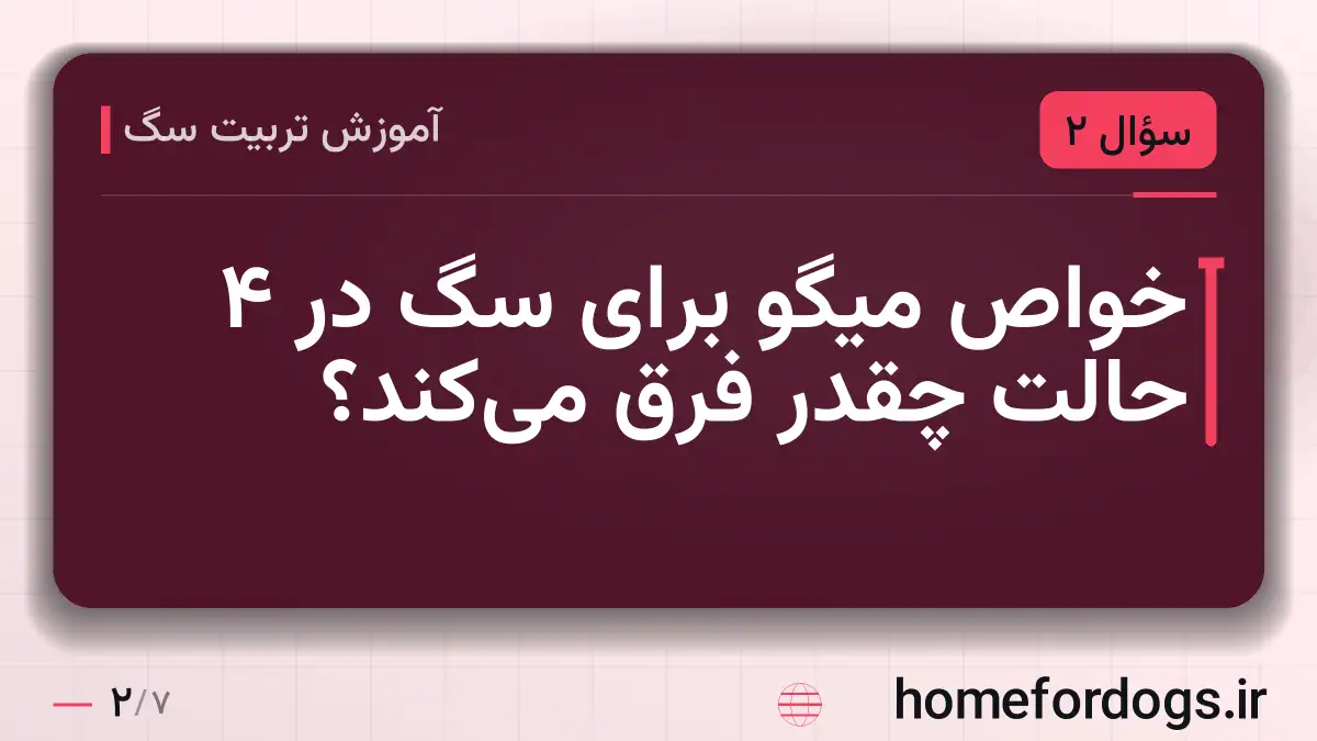 خواص میگو برای سگ در ۴ حالت چقدر فرق میکند؟