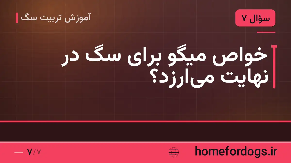 خواص میگو برای سگ در نهایت میارزد؟