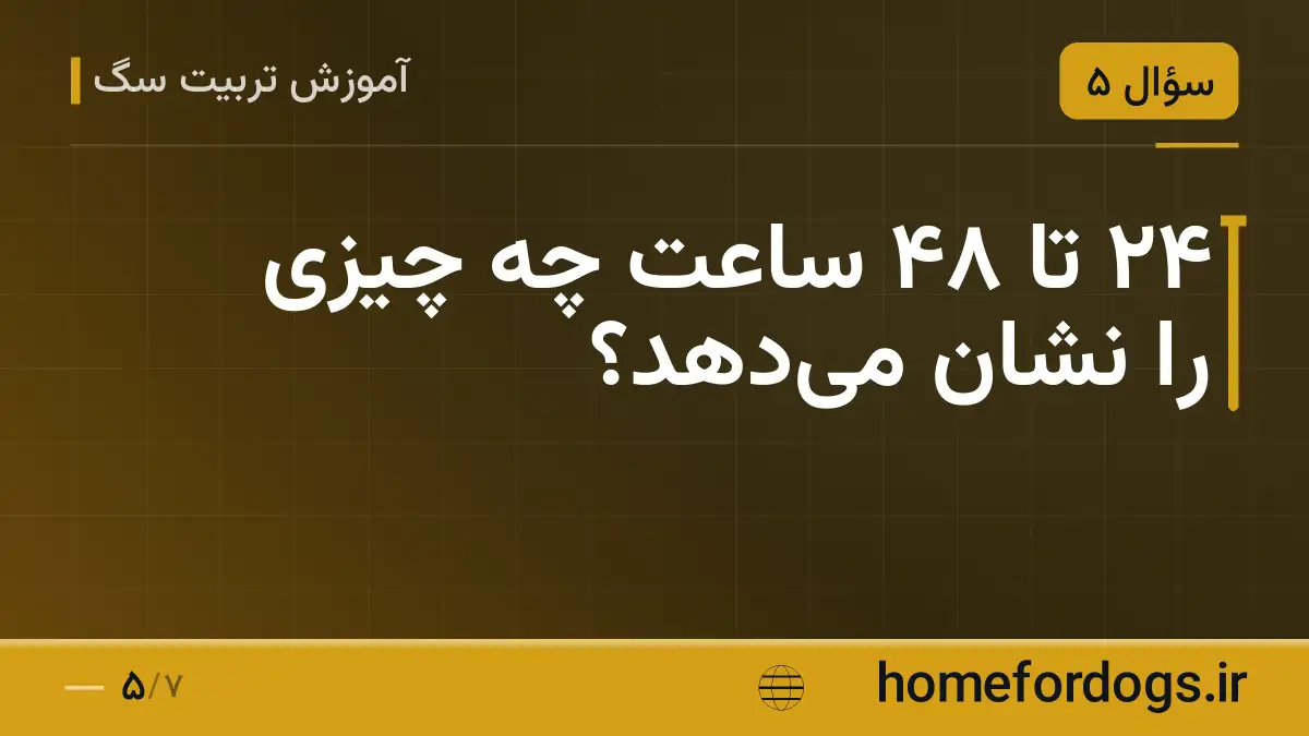 ۲۴ تا ۴۸ ساعت چه چیزی را نشان میدهد؟