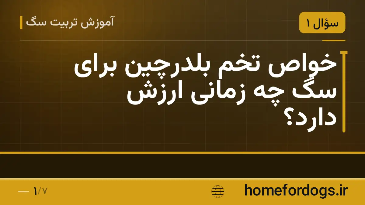 خواص تخم بلدرچین برای سگ چه زمانی ارزش دارد؟