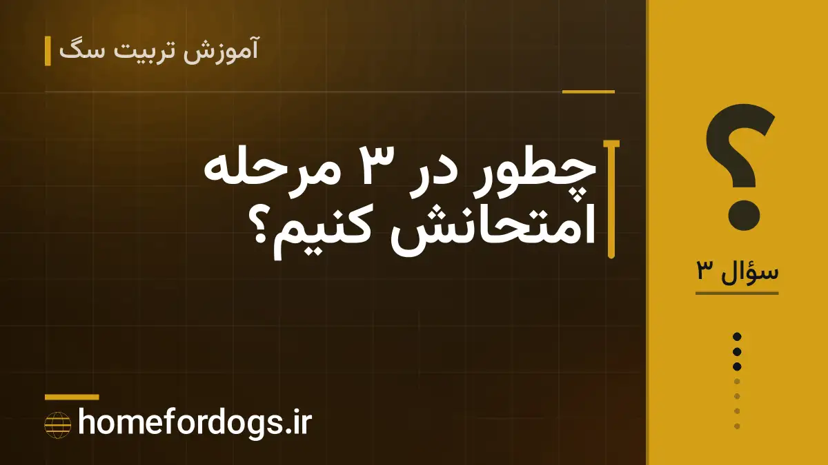 چطور در ۳ مرحله امتحانش کنیم؟