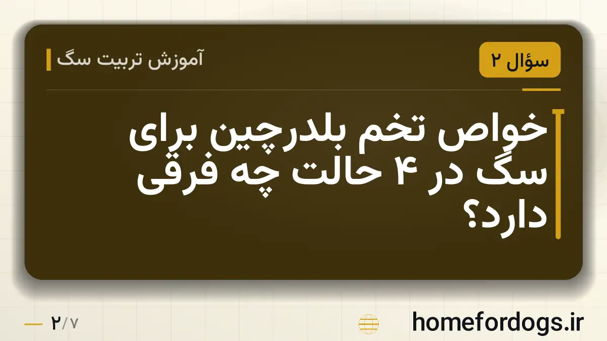 خواص تخم بلدرچین برای سگ در ۴ حالت چه فرقی دارد؟