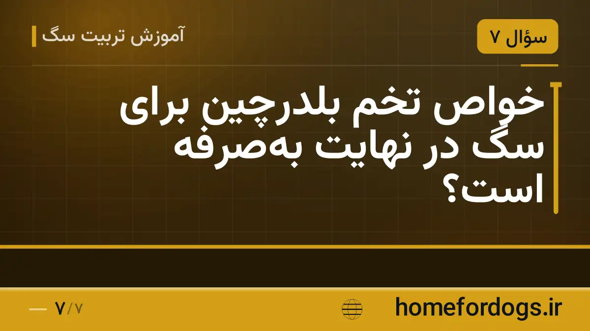 خواص تخم بلدرچین برای سگ در نهایت بهصرفه است؟