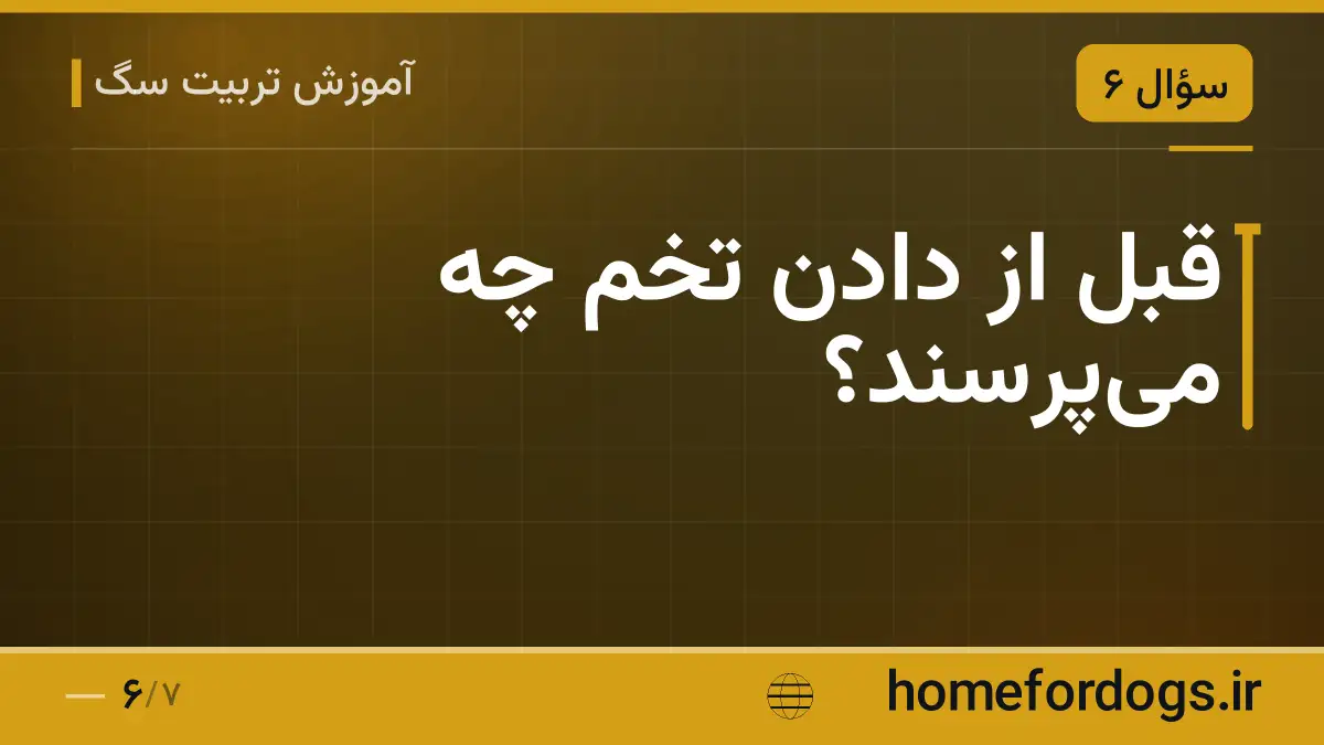 قبل از دادن تخم چه میپرسند؟