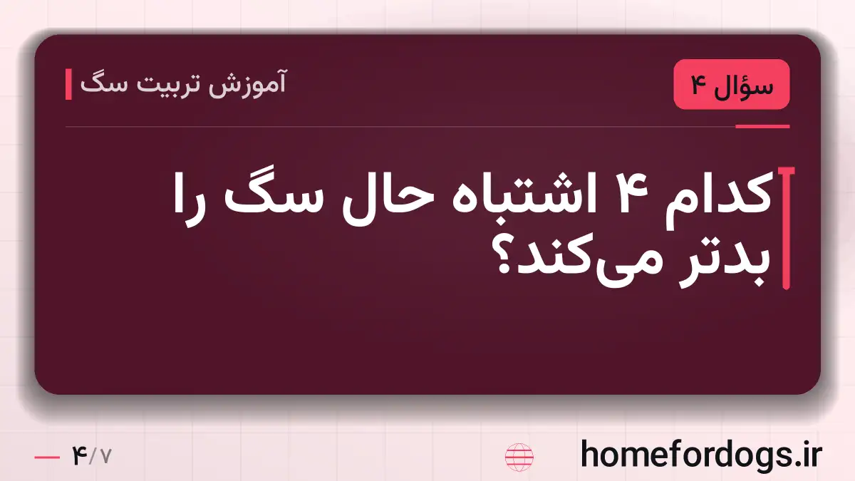 کدام ۴ اشتباه حال سگ را بدتر میکند؟