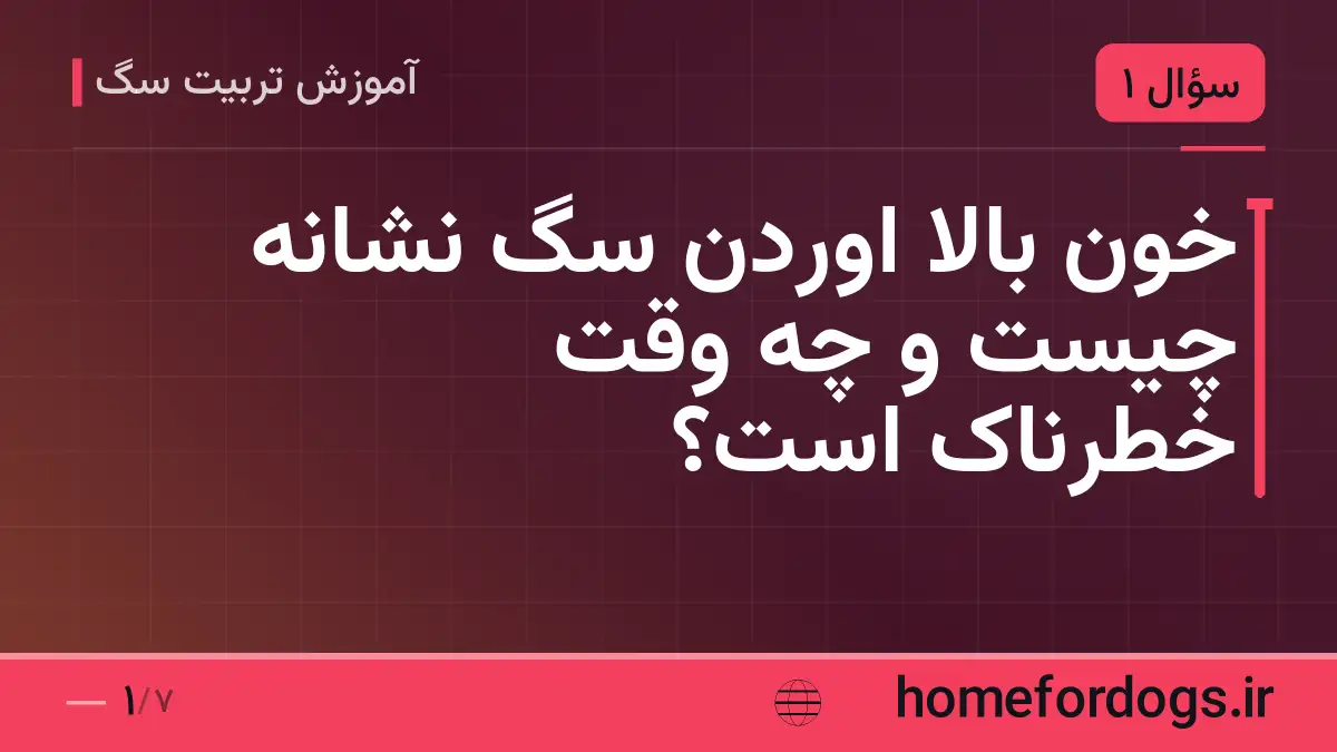 خون بالا اوردن سگ نشانه چیست و چه وقت خطرناک است؟
