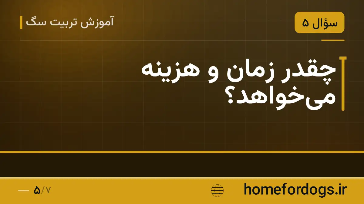 چقدر زمان و هزینه می‌خواهد؟