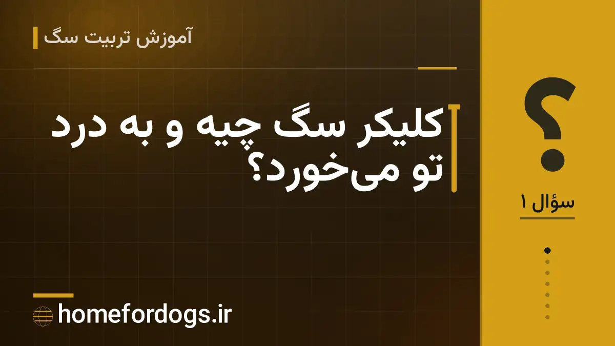 کلیکر سگ چیه و به درد تو می‌خورد؟