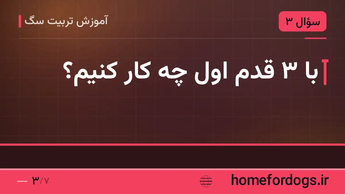 با ۳ قدم اول چه کار کنیم؟