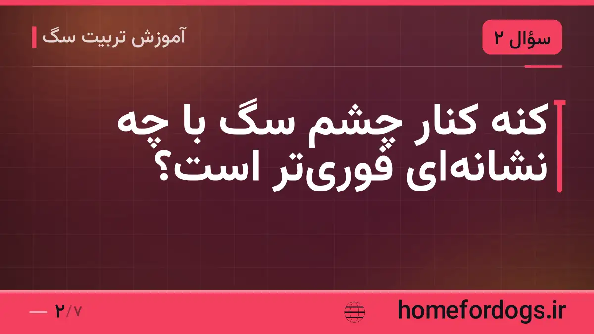 کنه کنار چشم سگ با چه نشانه‌ای فوری‌تر است؟