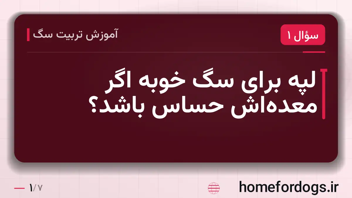 لپه برای سگ خوبه اگر معدهاش حساس باشد؟