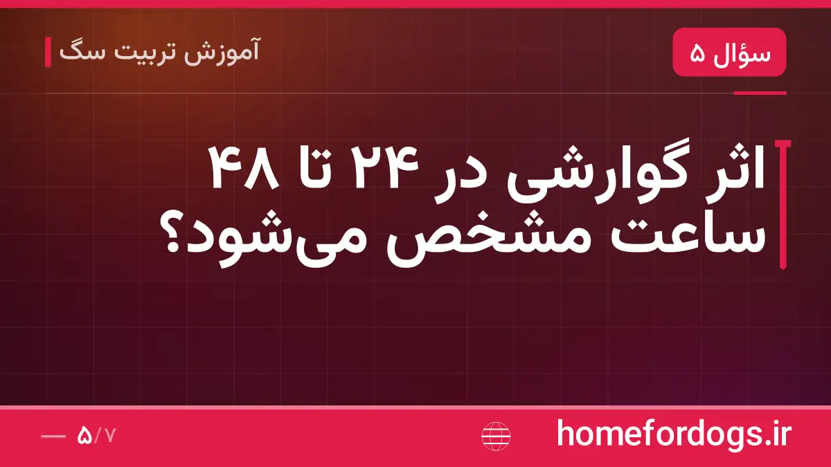اثر گوارشی در ۲۴ تا ۴۸ ساعت مشخص میشود؟