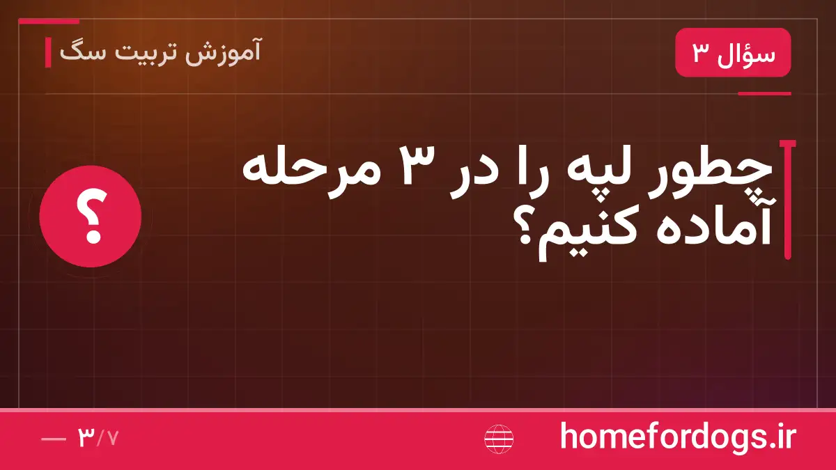 چطور لپه را در ۳ مرحله آماده کنیم؟