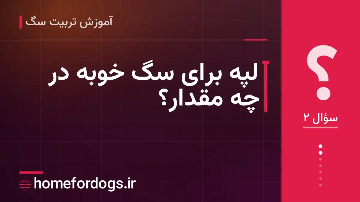 لپه برای سگ خوبه در چه مقدار؟