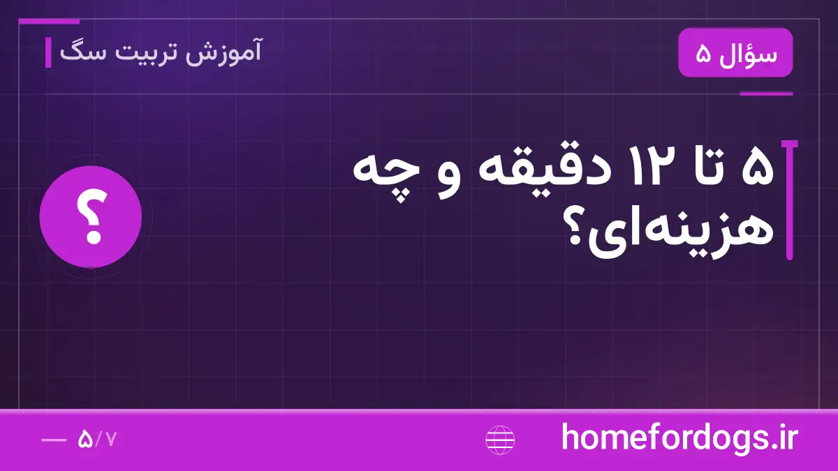 ۵ تا ۱۲ دقیقه و چه هزینه‌ای؟