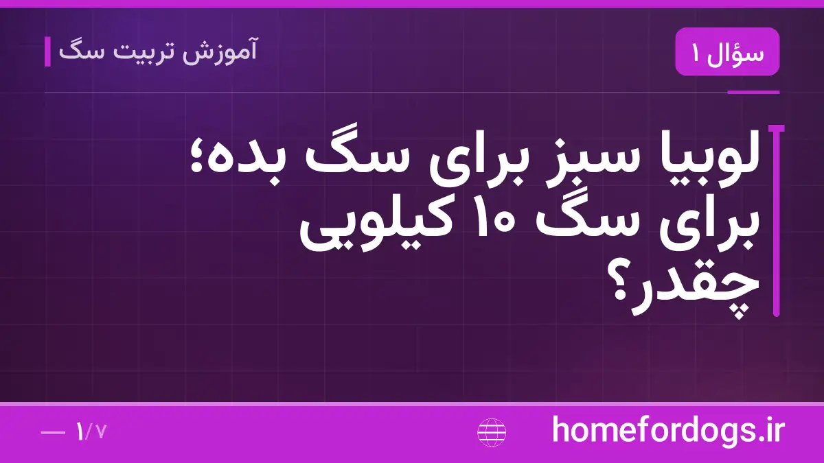 لوبیا سبز برای سگ بده؛ برای سگ ۱۰ کیلویی چقدر؟