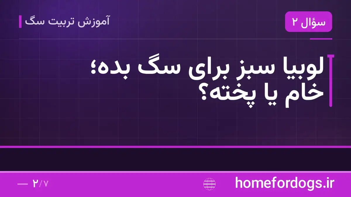 لوبیا سبز برای سگ بده؛ خام یا پخته؟