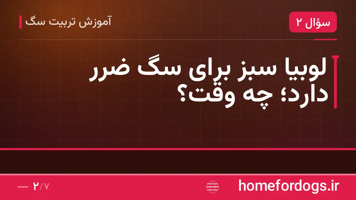 لوبیا سبز برای سگ ضرر دارد؛ چه وقت؟