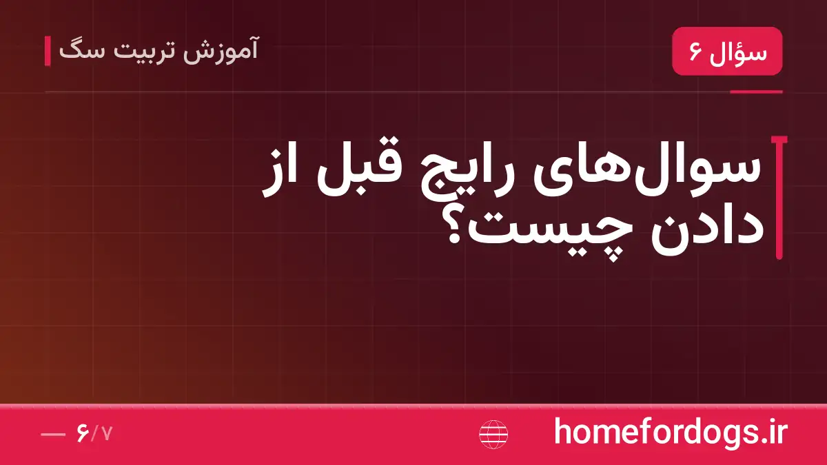 سوال‌های رایج قبل از دادن چیست؟