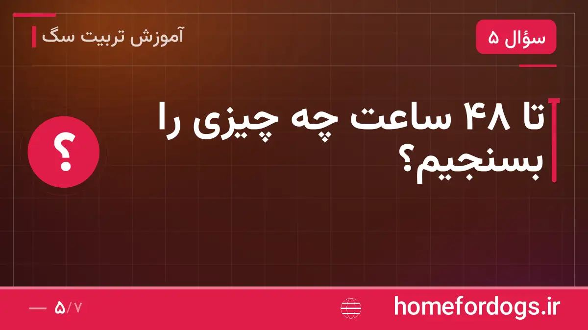 تا ۴۸ ساعت چه چیزی را بسنجیم؟