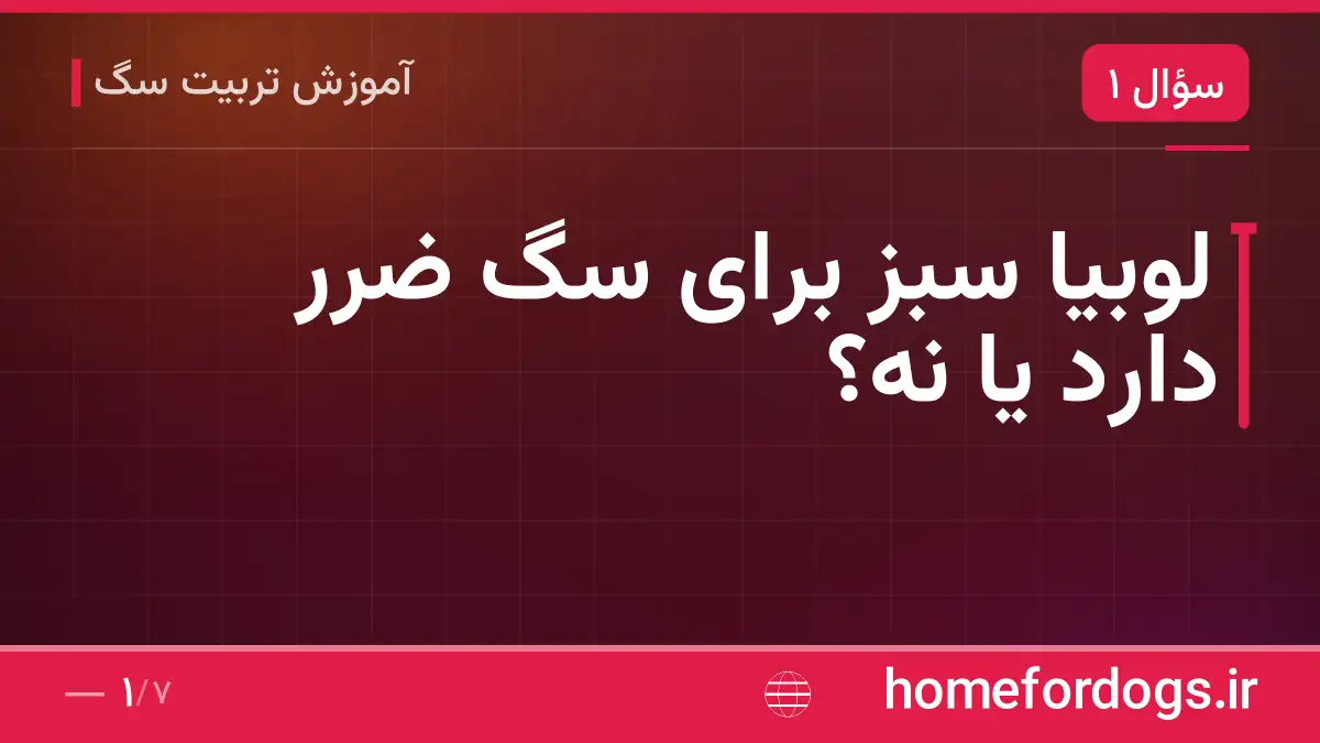 لوبیا سبز برای سگ ضرر دارد یا نه؟