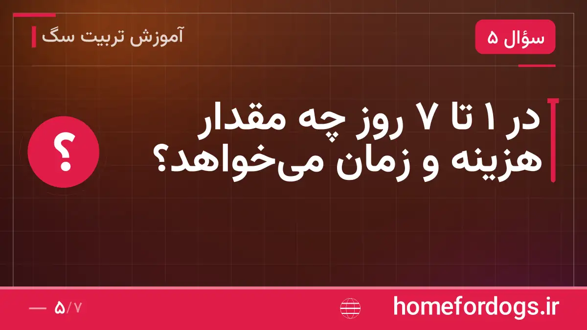 در ۱ تا ۷ روز چه مقدار هزینه و زمان می‌خواهد؟
