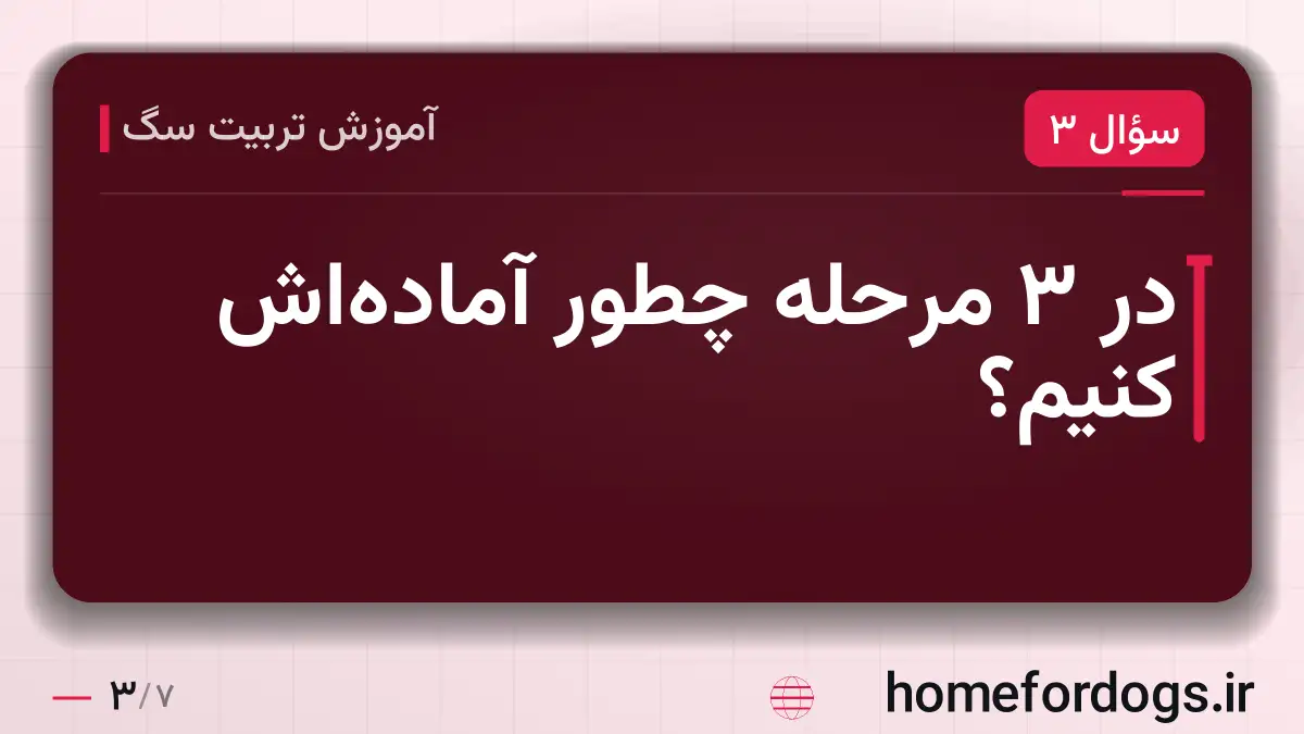 در ۳ مرحله چطور آماده‌اش کنیم؟
