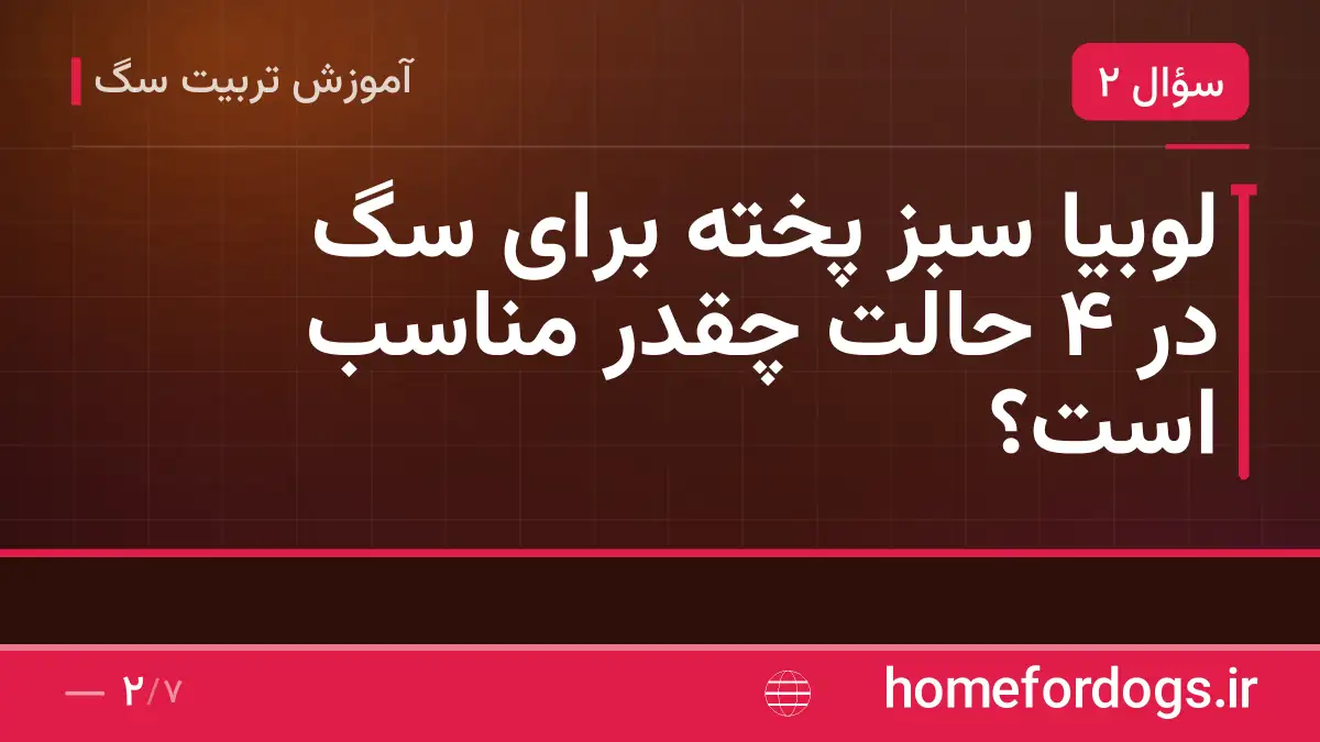 لوبیا سبز پخته برای سگ در ۴ حالت چقدر مناسب است؟