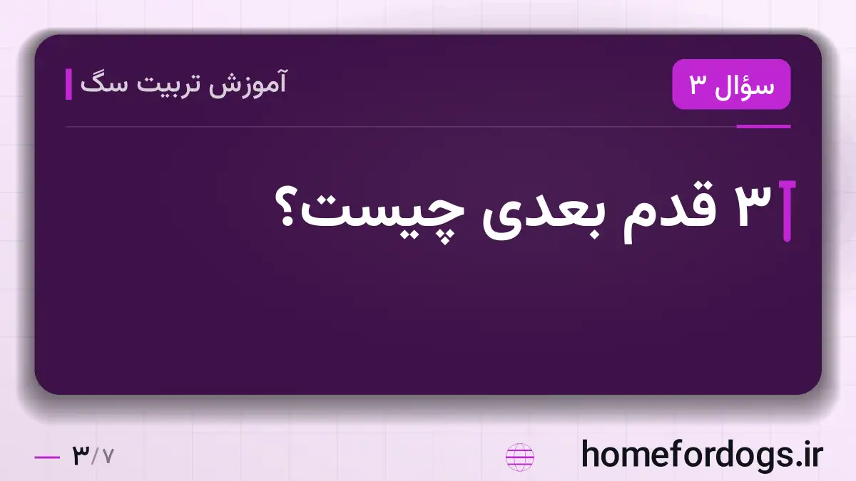 ۳ قدم بعدی چیست؟