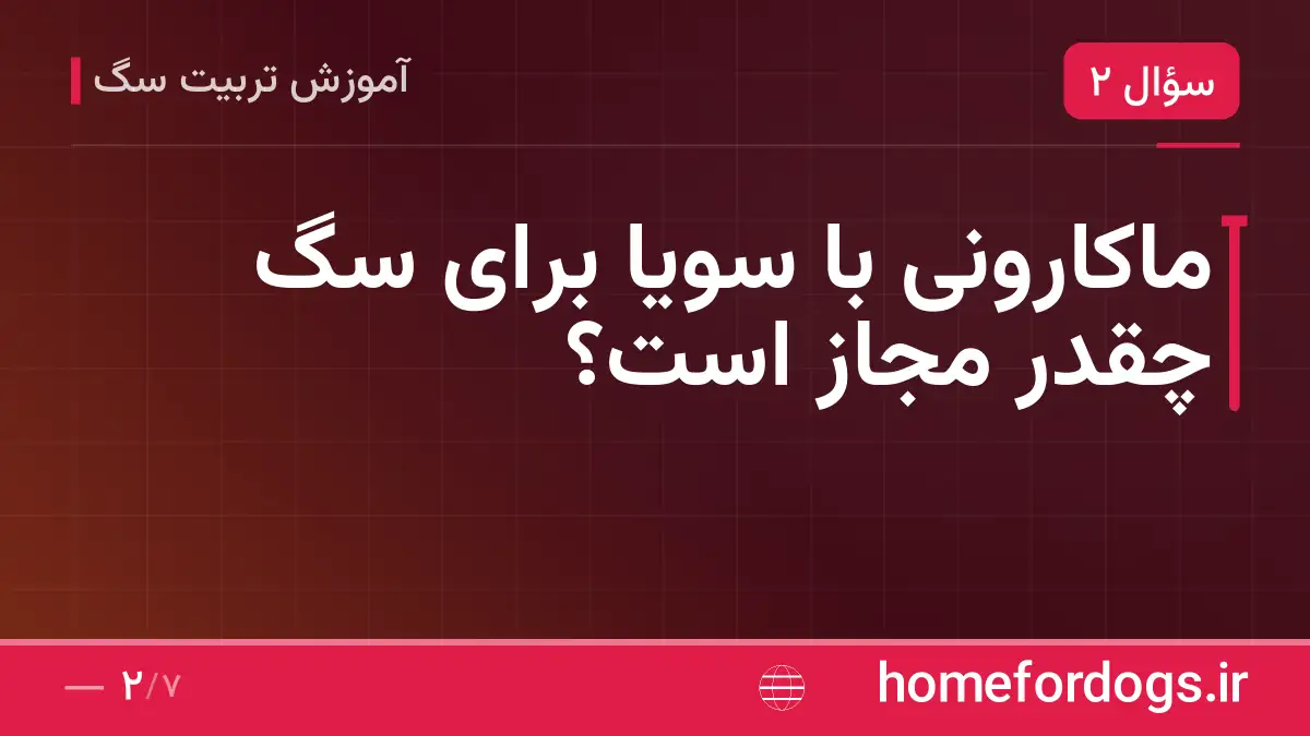 ماکارونی با سویا برای سگ چقدر مجاز است؟