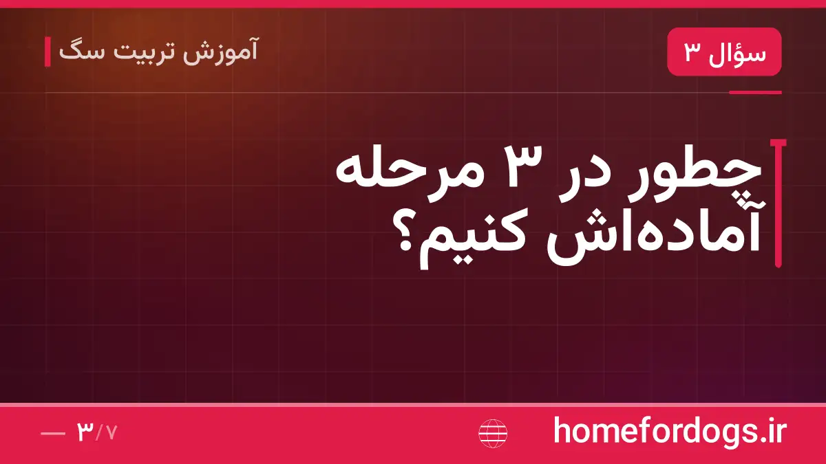 چطور در ۳ مرحله آماده‌اش کنیم؟