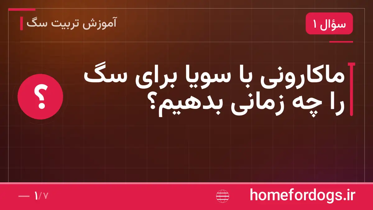 ماکارونی با سویا برای سگ را چه زمانی بدهیم؟