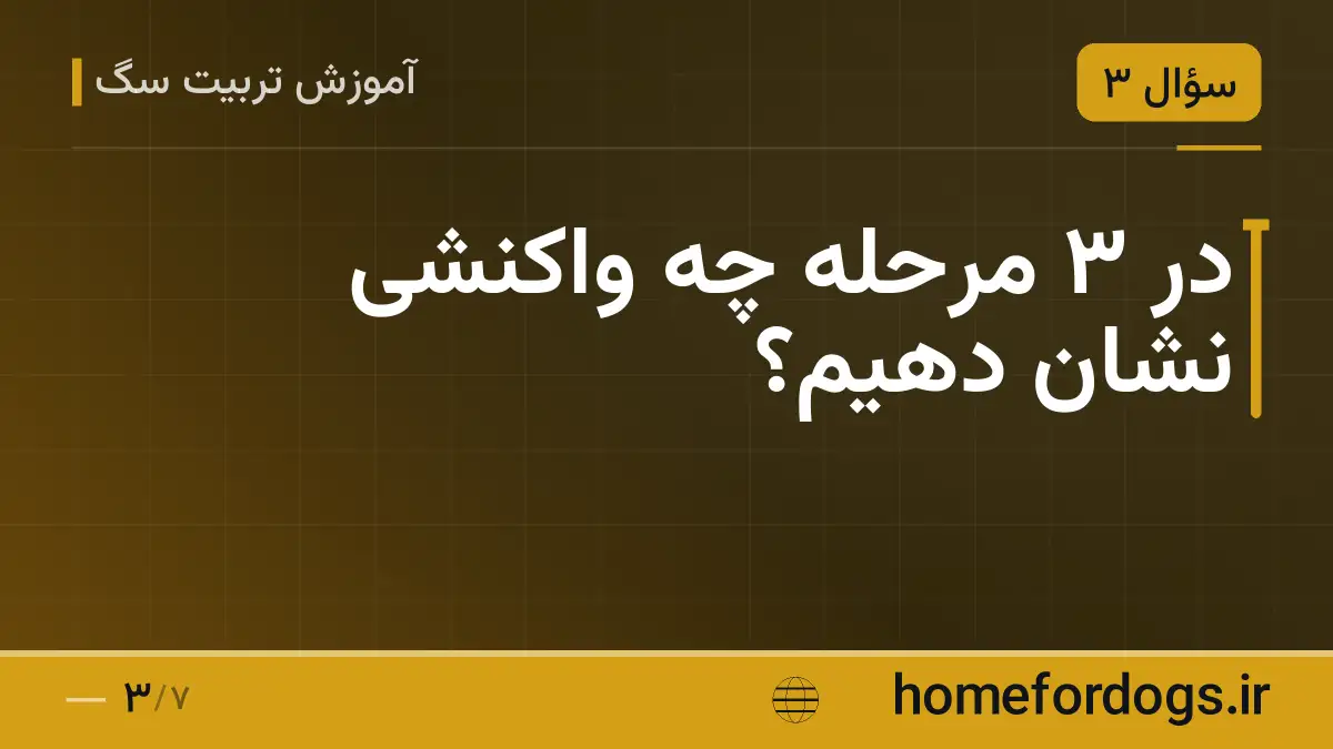 در ۳ مرحله چه واکنشی نشان دهیم؟