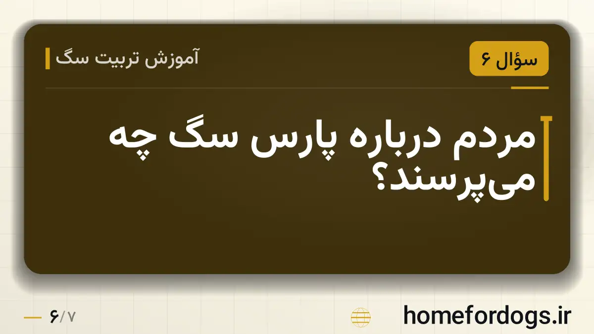 مردم درباره پارس سگ چه می‌پرسند؟