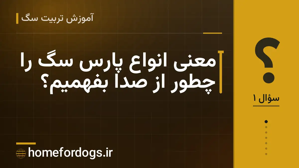 معنی انواع پارس سگ را چطور از صدا بفهمیم؟