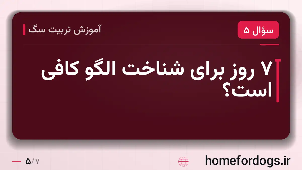 ۷ روز برای شناخت الگو کافی است؟