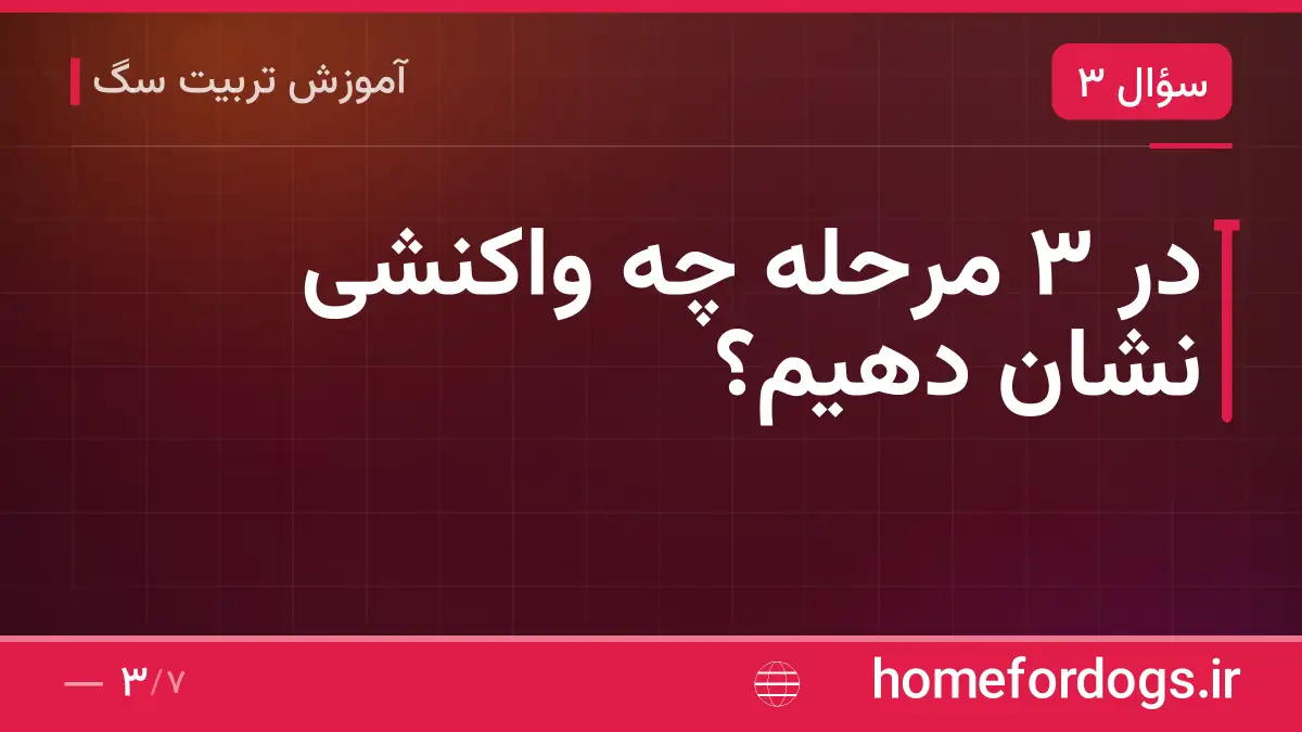 در ۳ مرحله چه واکنشی نشان دهیم؟