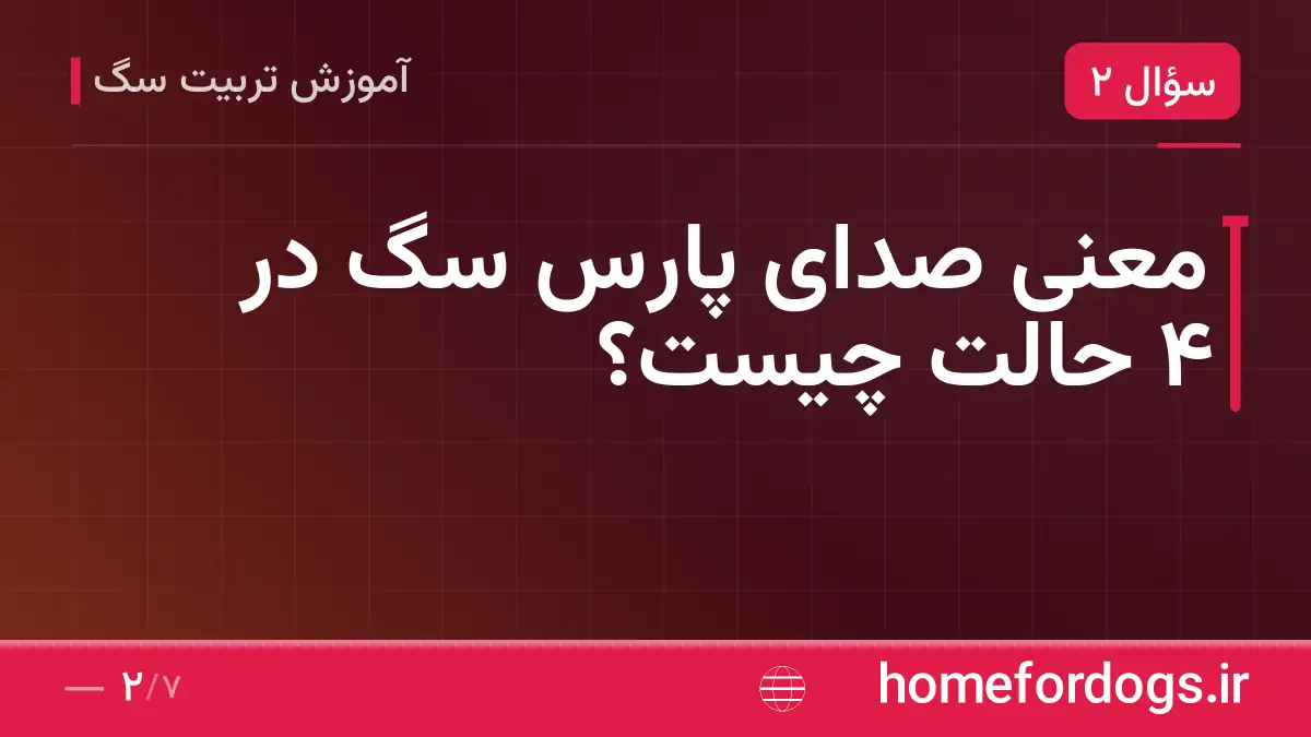 معنی صدای پارس سگ در ۴ حالت چیست؟