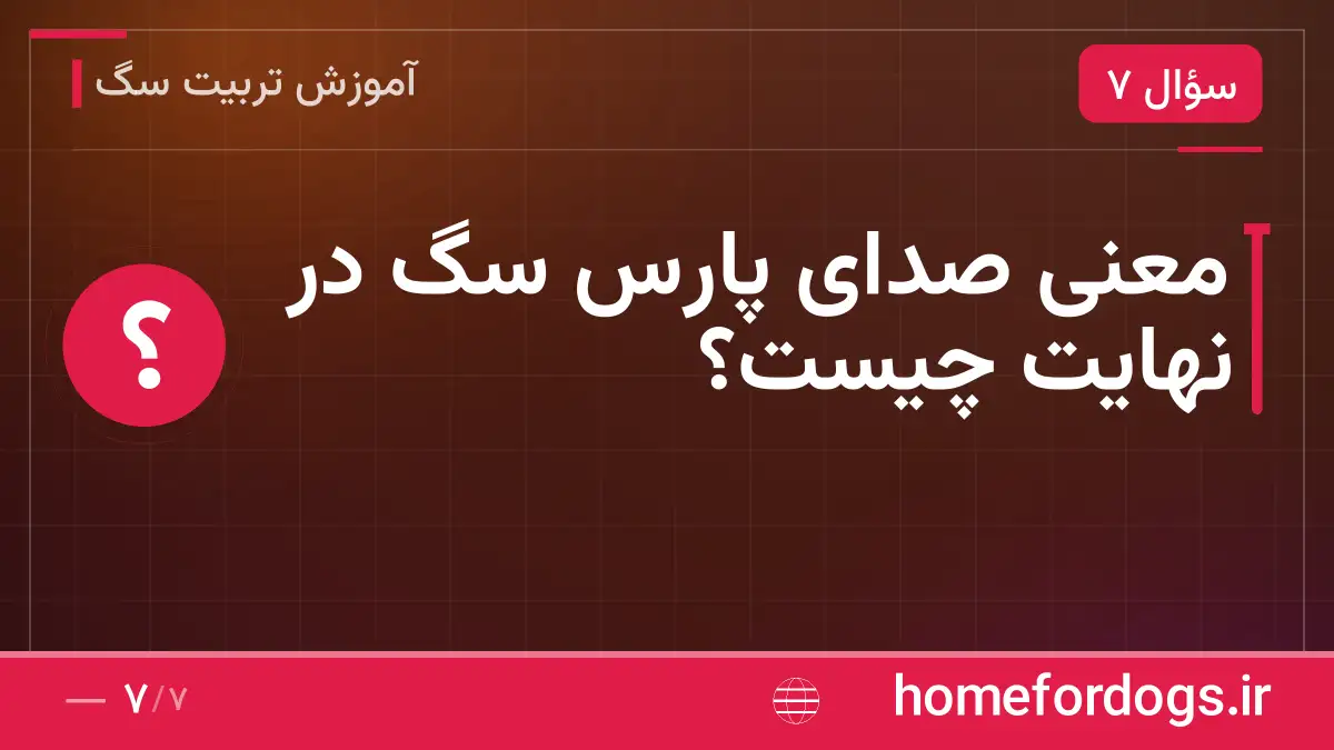 معنی صدای پارس سگ در نهایت چیست؟