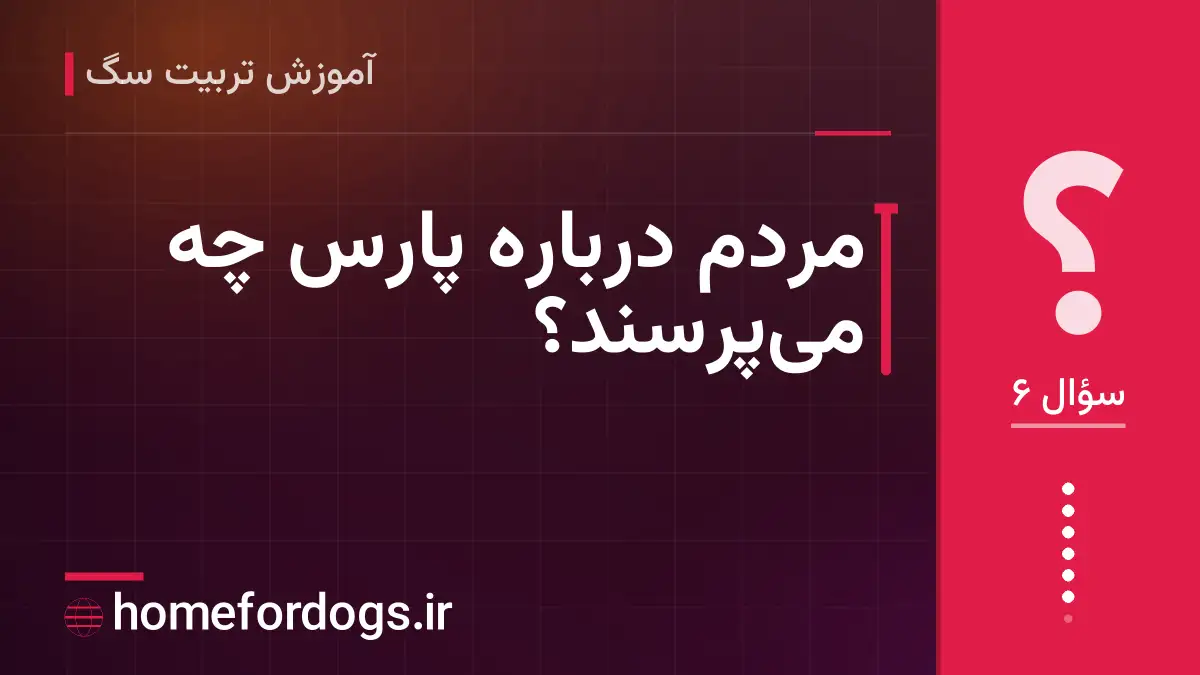 مردم دربارهٔ پارس چه می‌پرسند؟