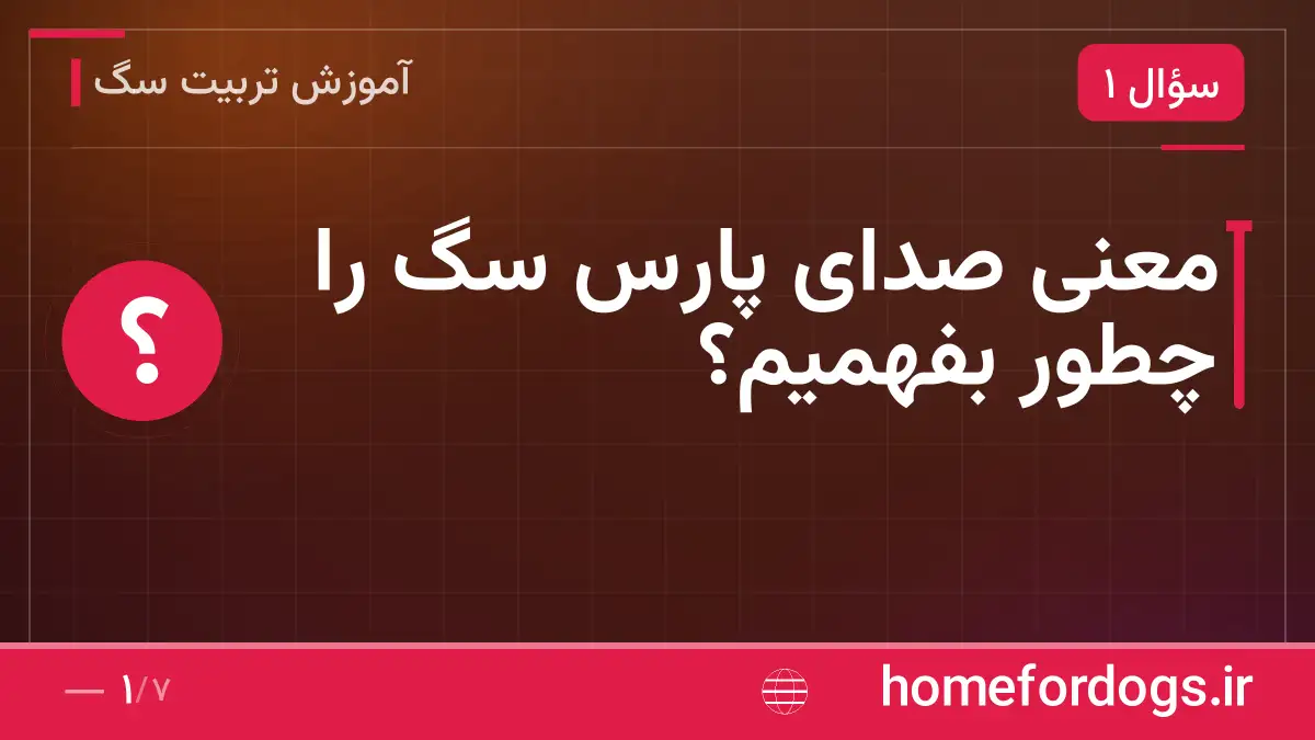 معنی صدای پارس سگ را چطور بفهمیم؟