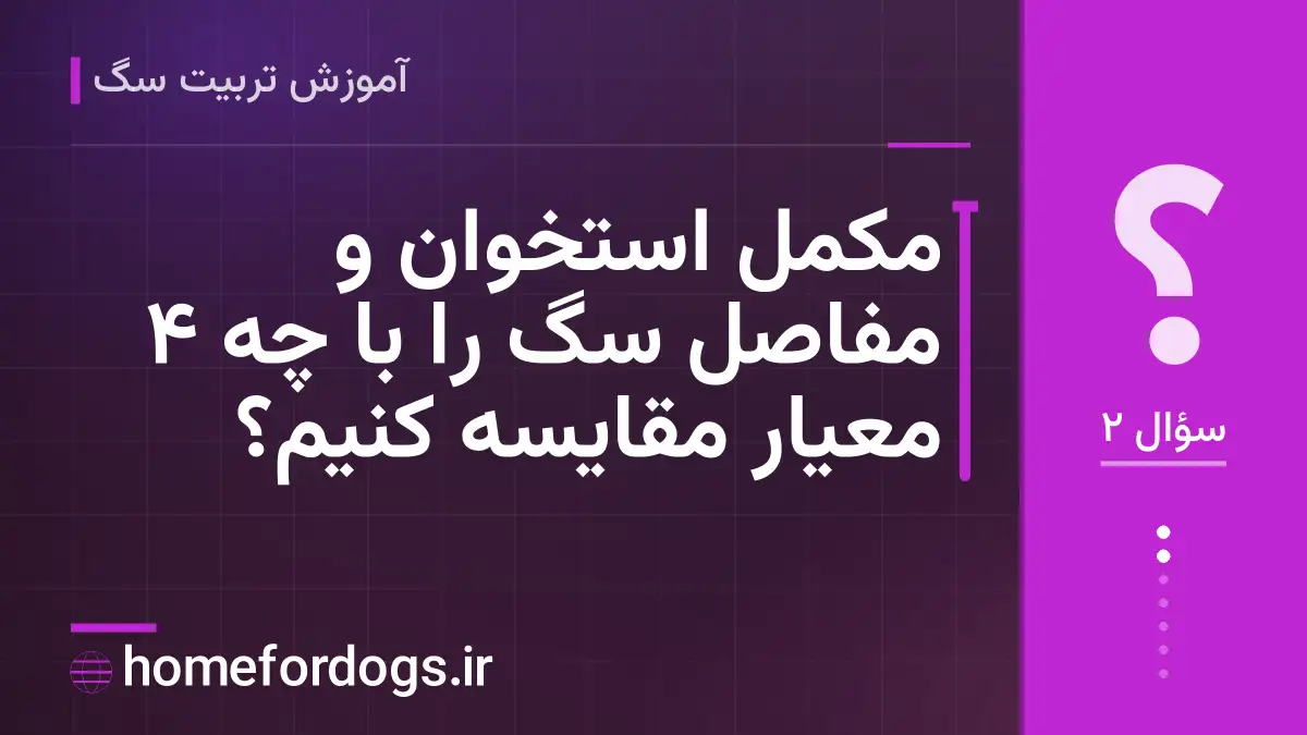 مکمل استخوان و مفاصل سگ را با چه ۴ معیار مقایسه کنیم؟