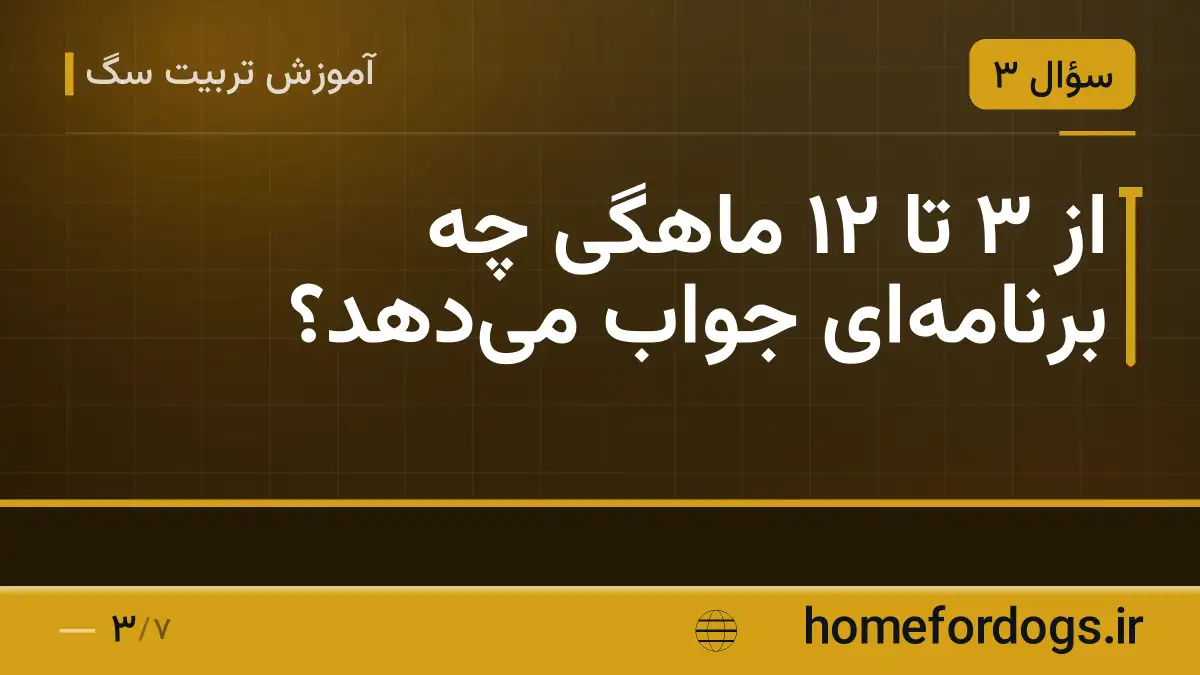 از ۳ تا ۱۲ ماهگی چه برنامه‌ای جواب می‌دهد؟