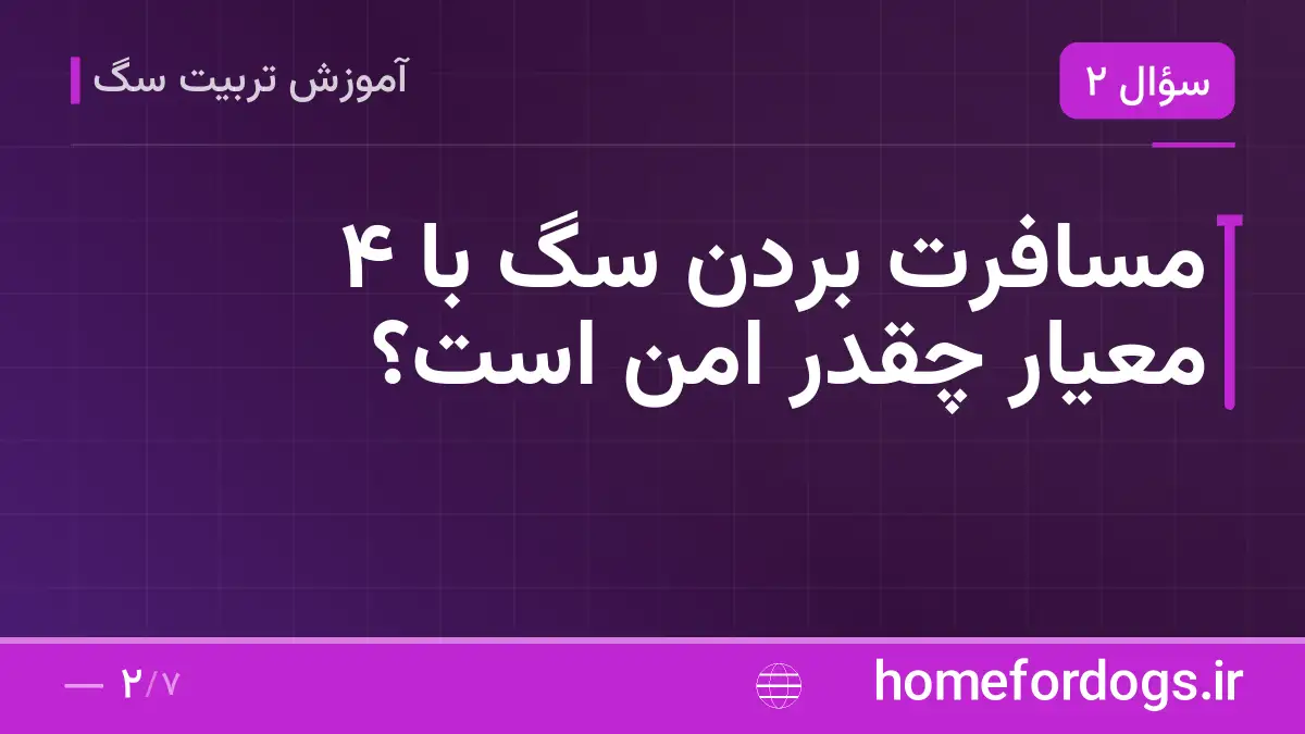مسافرت بردن سگ با ۴ معیار چقدر امن است؟