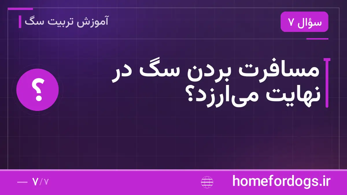مسافرت بردن سگ در نهایت می‌ارزد؟