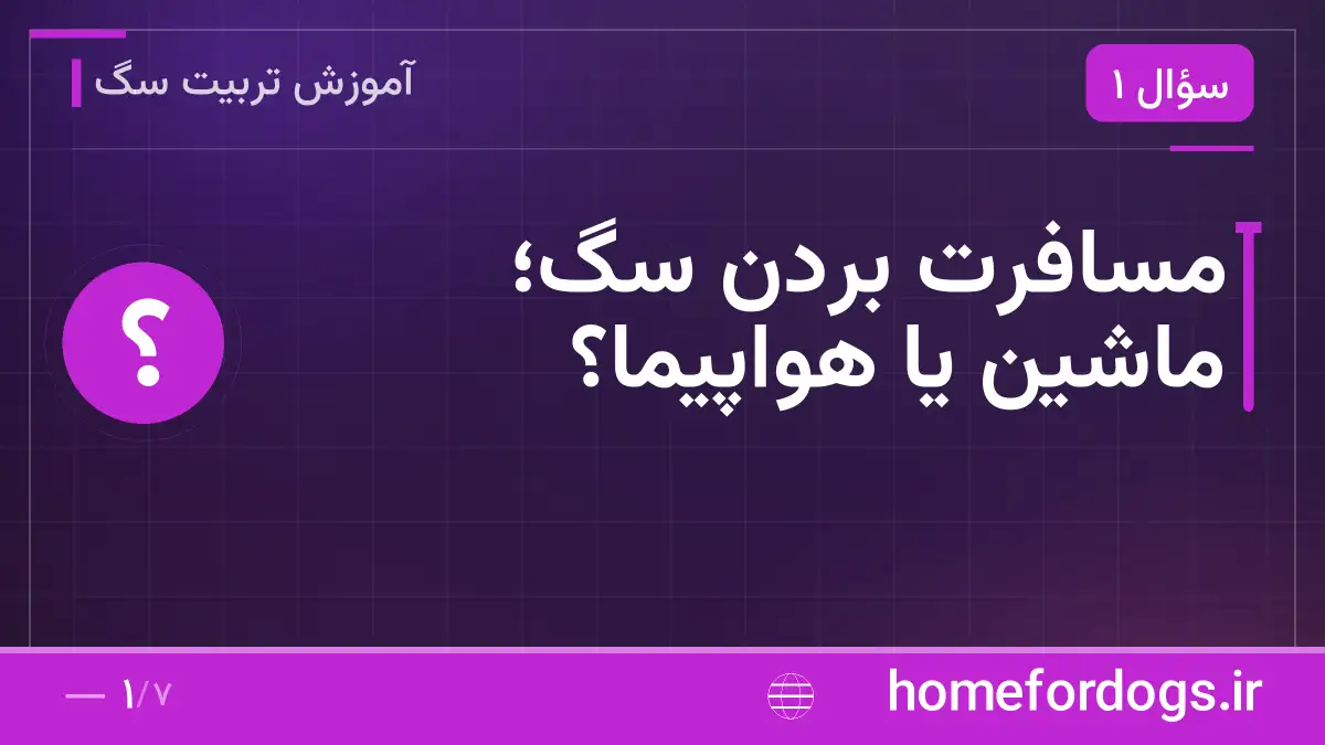 مسافرت بردن سگ؛ ماشین یا هواپیما؟