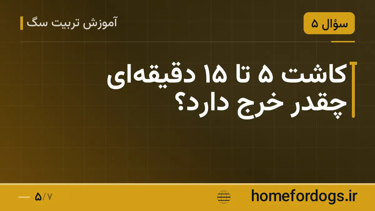 کاشت ۵ تا ۱۵ دقیقه‌ای چقدر خرج دارد؟
