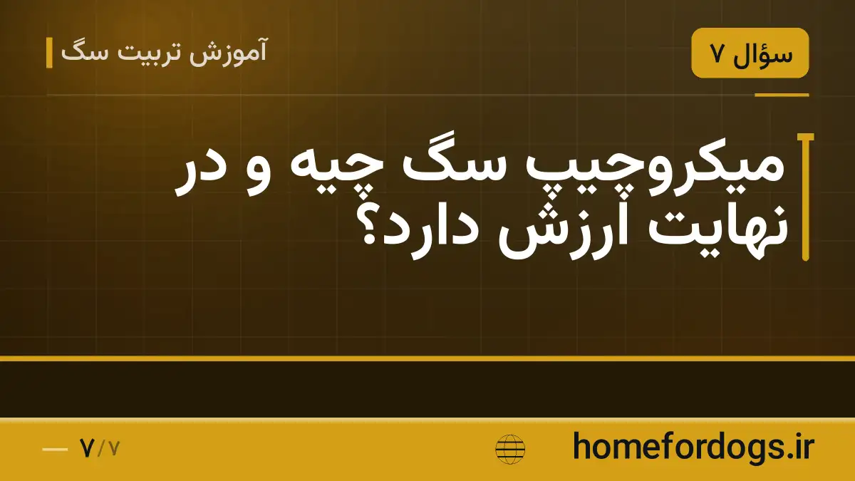 میکروچیپ سگ چیه و در نهایت ارزش دارد؟